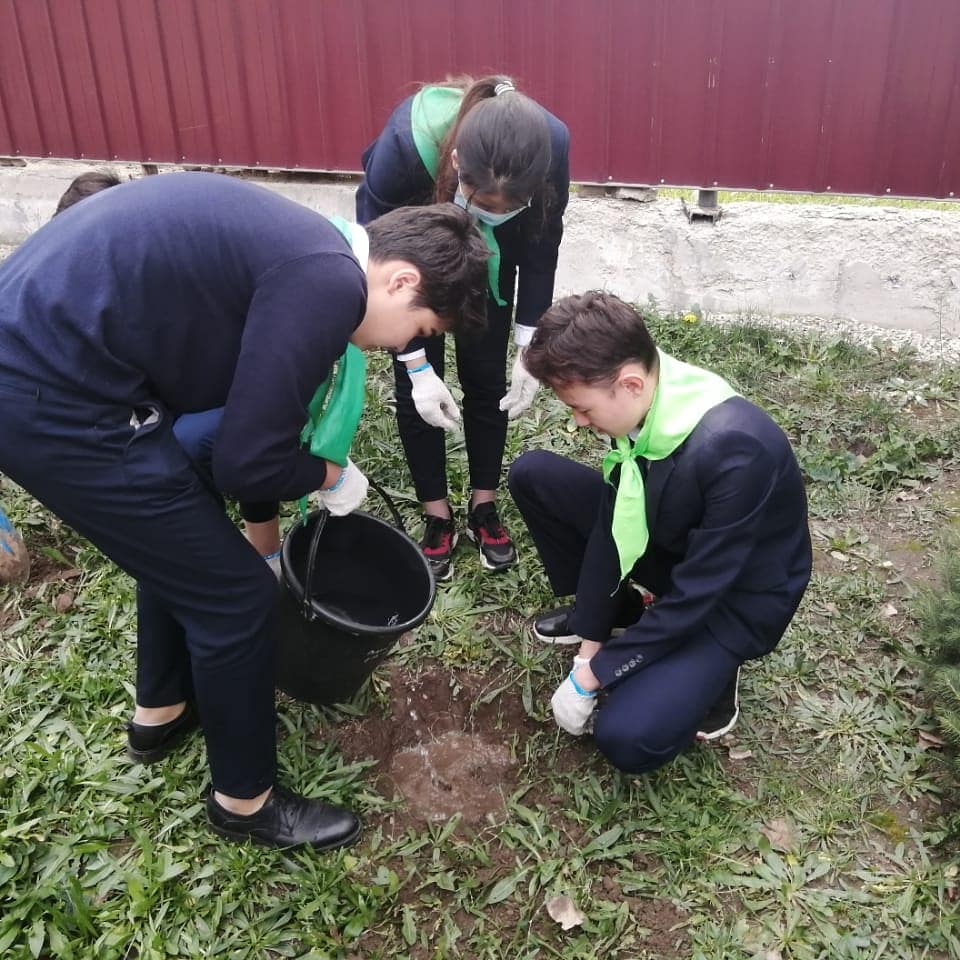 Ағаш отырғызу